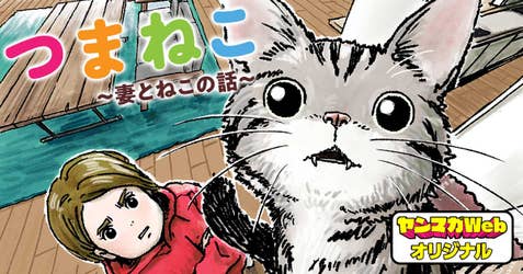 つまねこ～妻とねこの話～