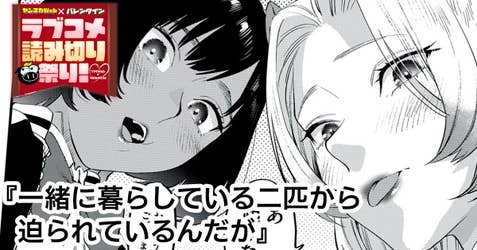 一緒に暮らしている二匹から迫られているんだが