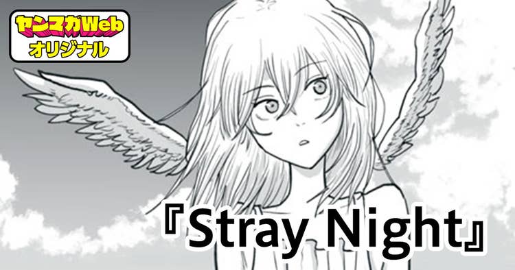 Stray Night