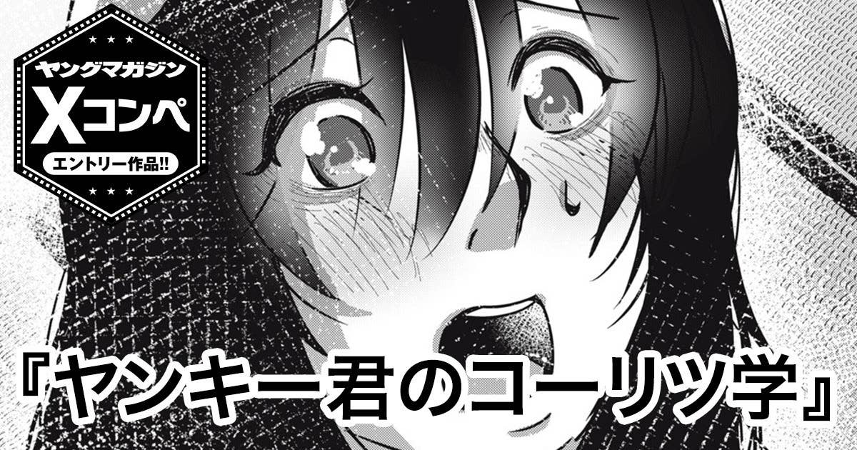 ヤンキー君のコーリツ学