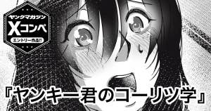 ヤンキー君のコーリツ学