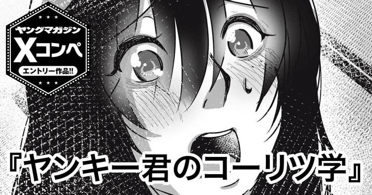 ヤンキー君のコーリツ学
