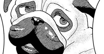 ＃２９　狙われる犬