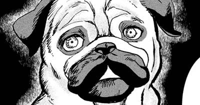 ＃５３　乗り込む犬