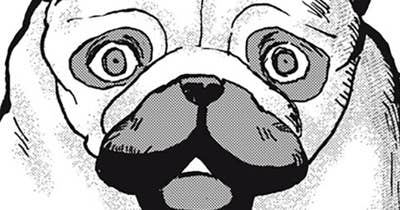 ＃５９　布教する犬