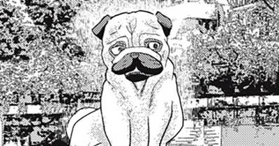 ＃６０　潜る犬