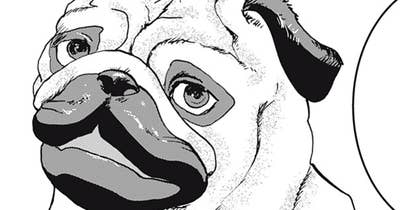 ＃６１　出遭う犬