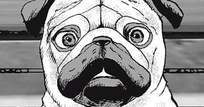 ＃６５　猫または犬