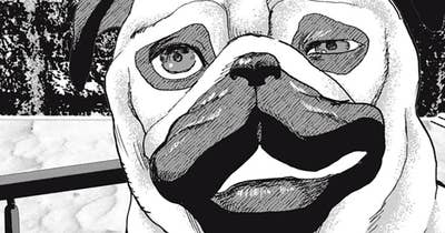 ＃６６　飛ばす犬