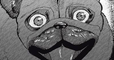 ＃７２　ボコる犬