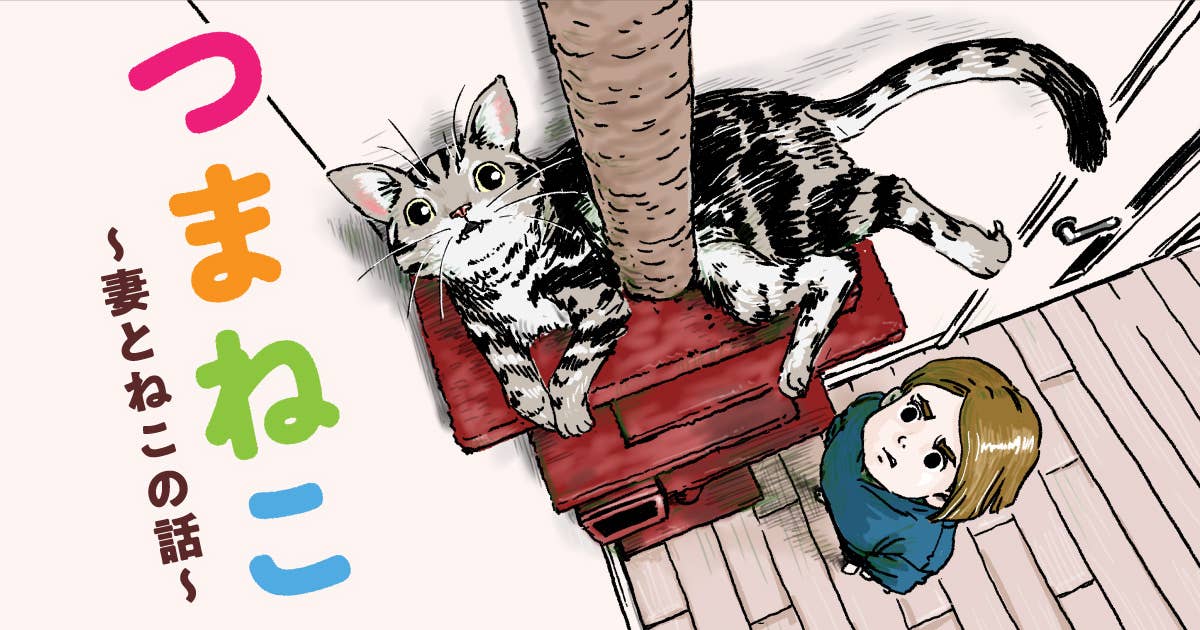 噛みまくる猫と妻の攻防 田中光のエッセイ漫画 つまねこ がスタート ニュース ヤンマガweb