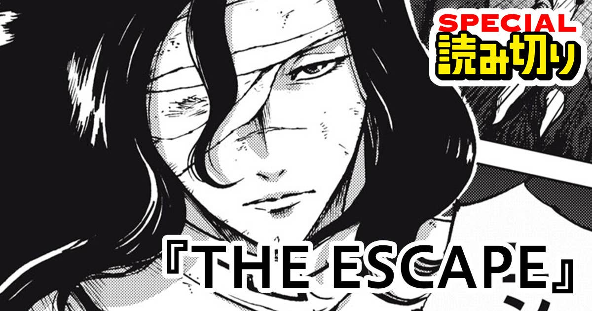 THE ESCAPE