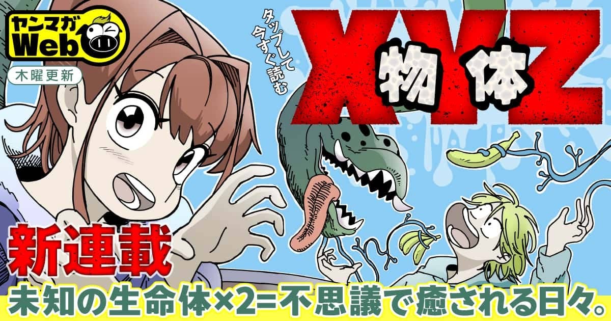 物体XYZ