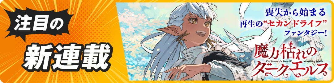 魔力枯れのダークエルフ