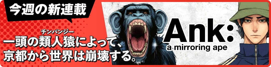Ank : a mirroring ape