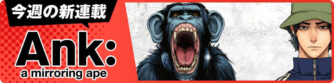 Ank : a mirroring ape