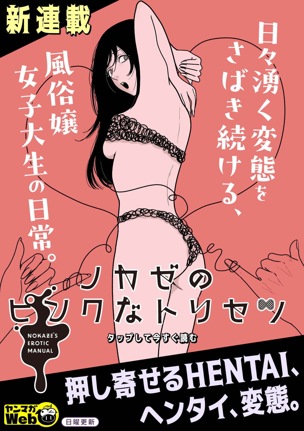  20260111_ノカゼのピンクなトリセツ