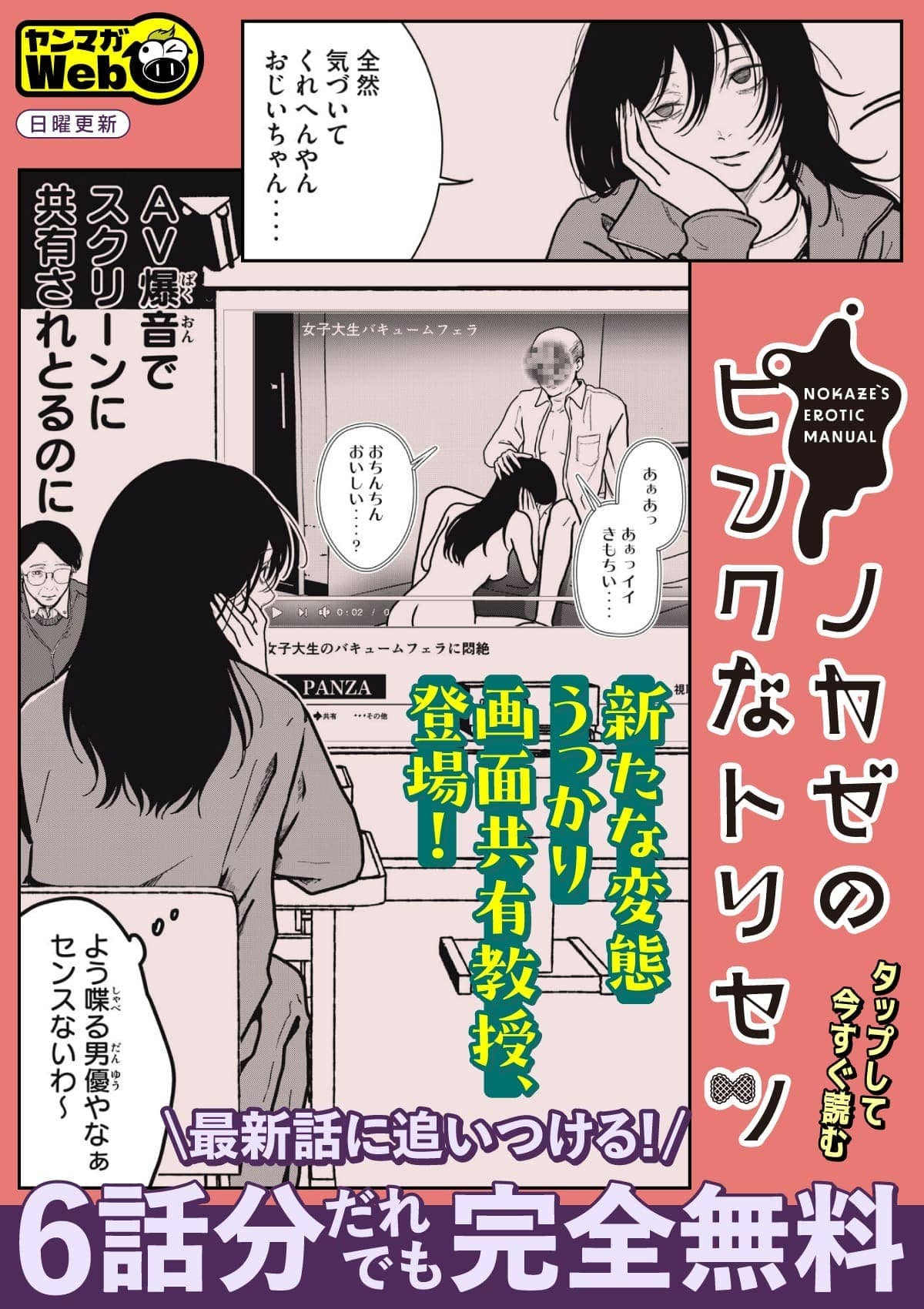  20260201_ノカゼのピンクなトリセツ