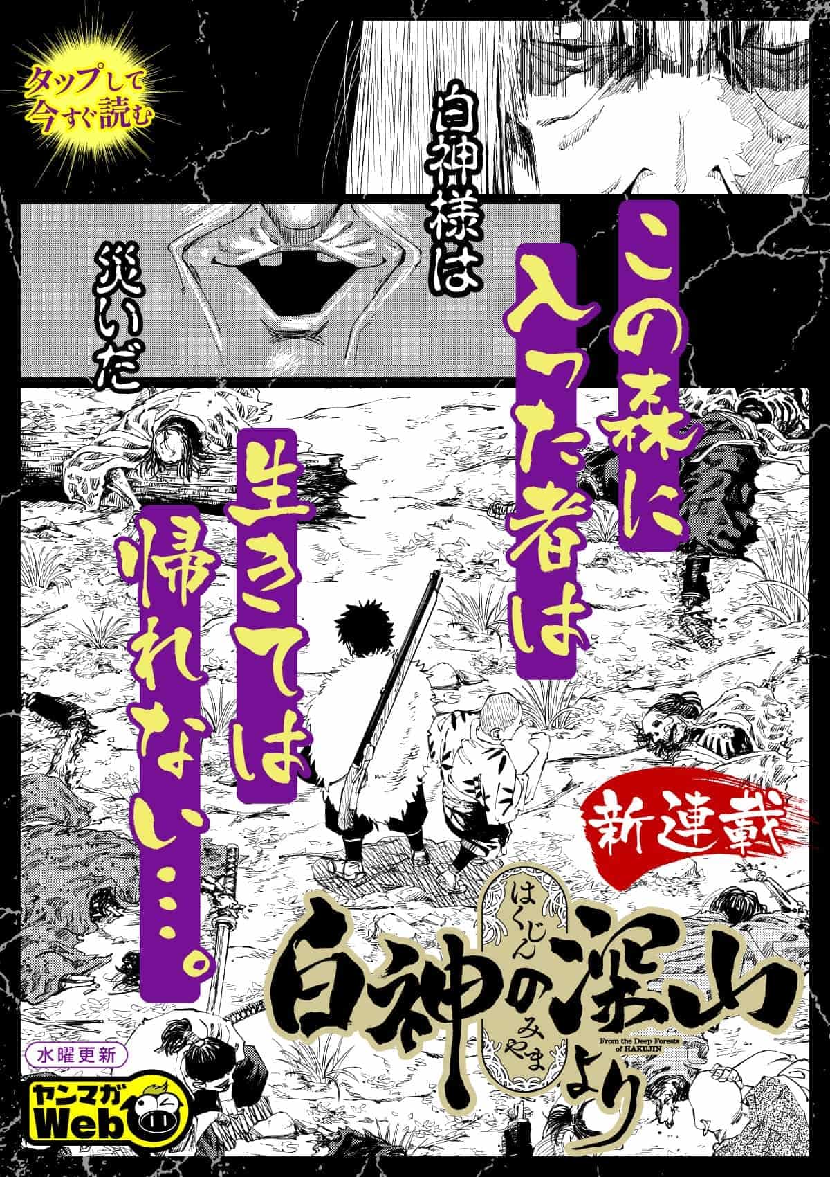  20260826_白神の深山より