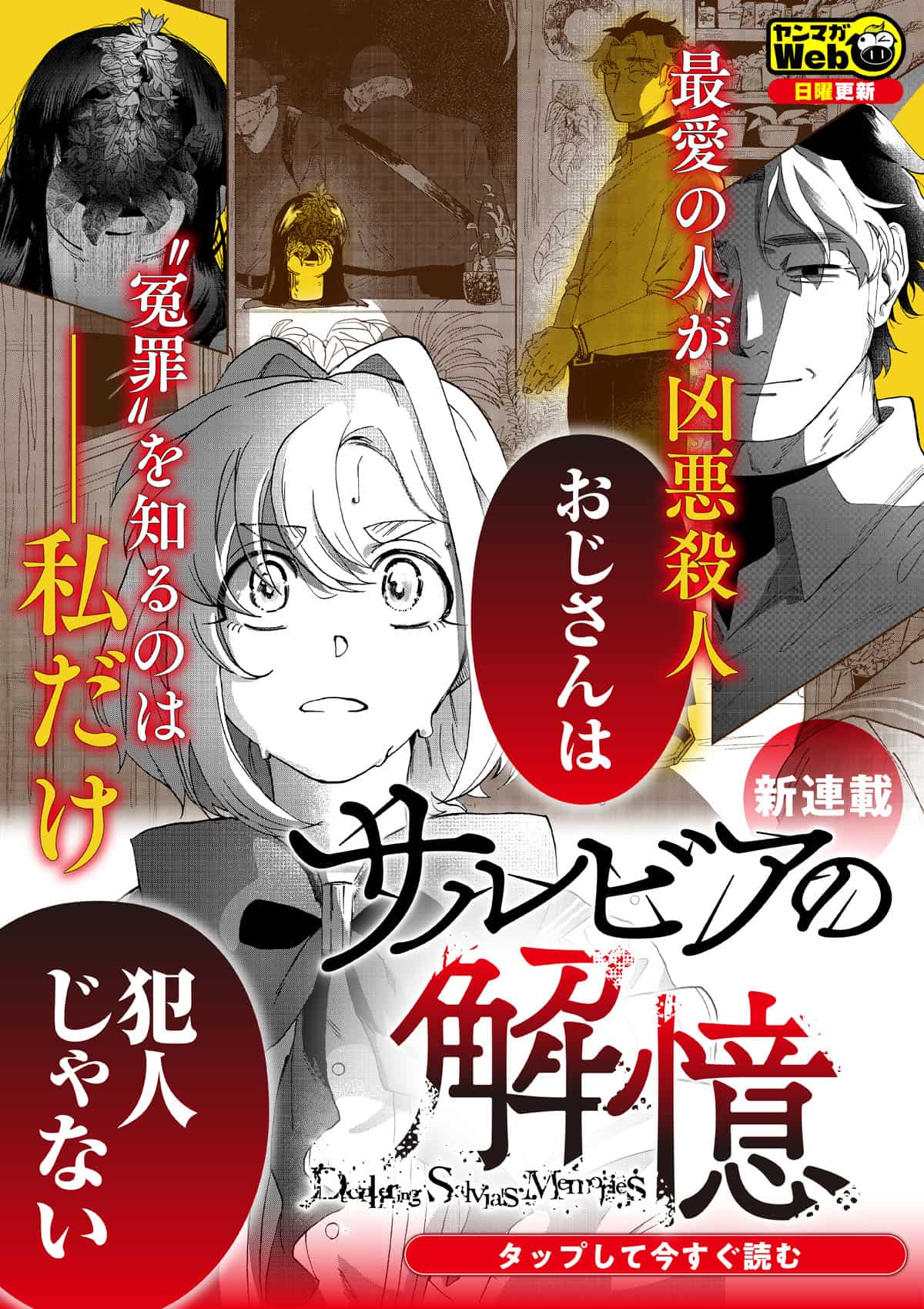 20260927_サルビアの解億