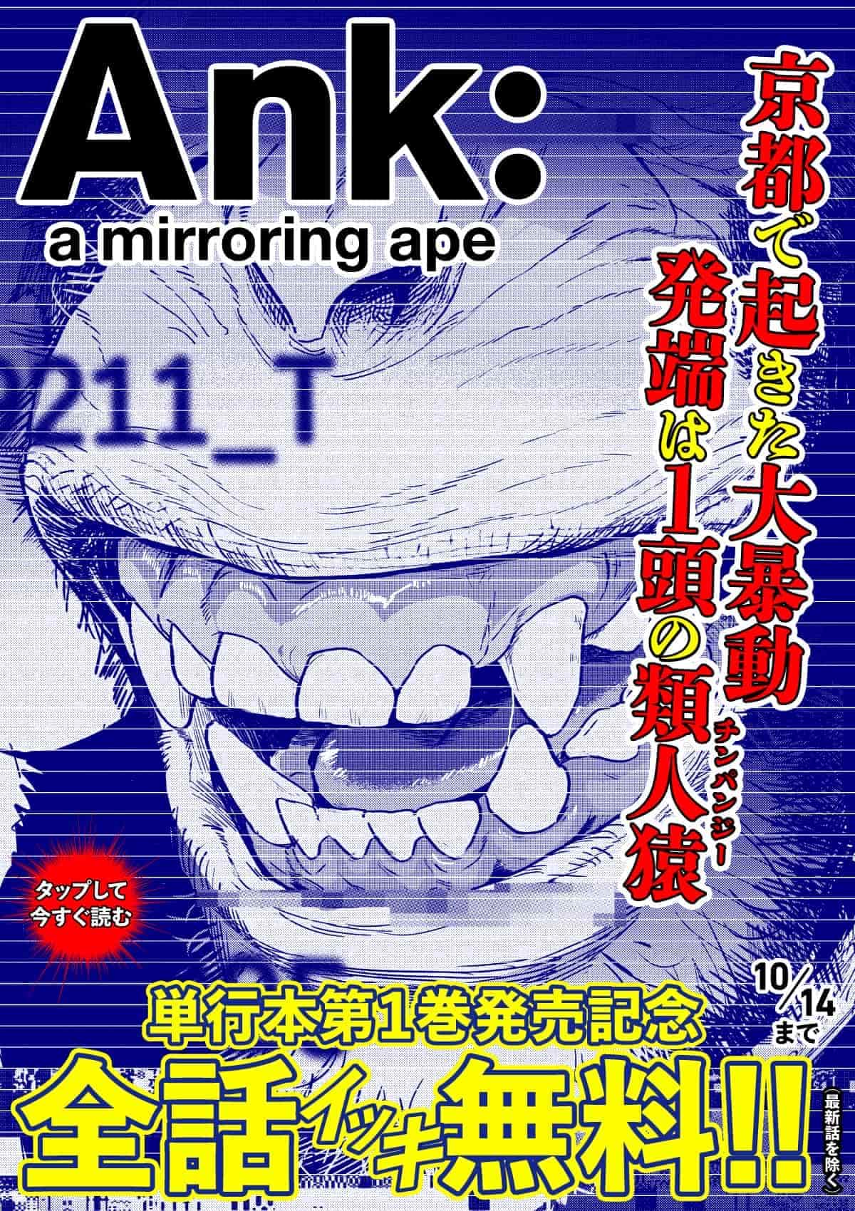  20261008_Ank : a mirroring ape