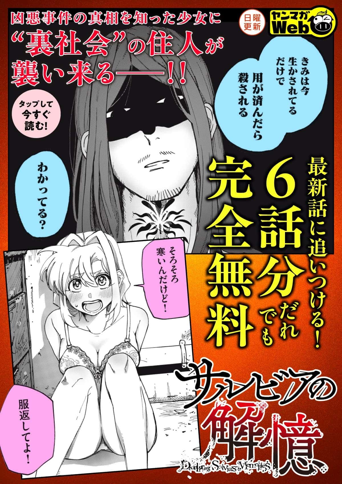  20261026_サルビアの解億