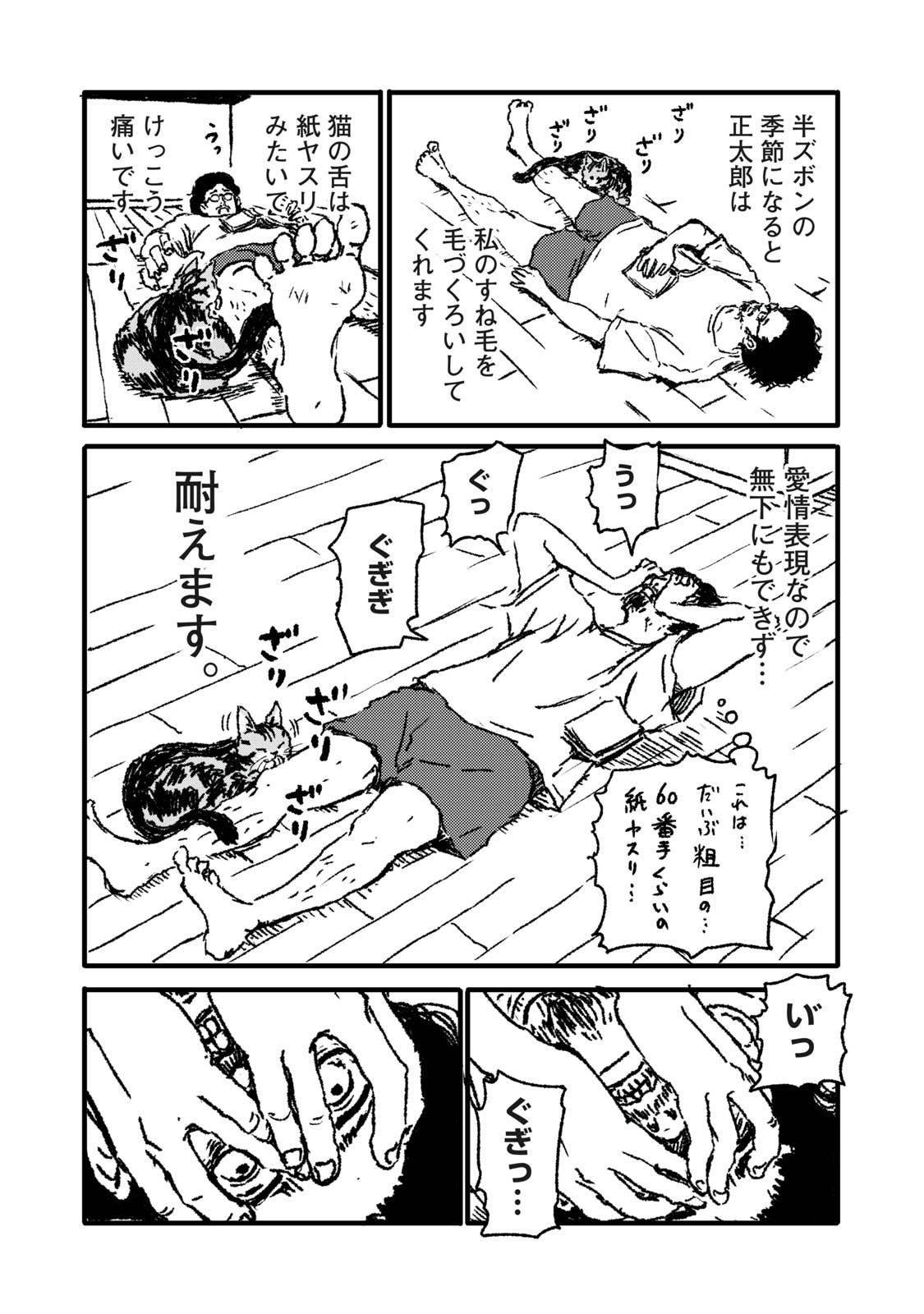 つまねこ ２３ ルーッ つまねこ ヤンマガweb